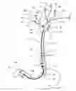 Fig. 01 - Endoscope accessory