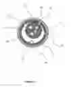 Fig. 15 - Endoscope accessory