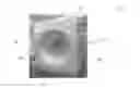 Fig. 01 - Pattern stimulus for visual function testing