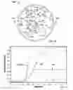 Fig. 08 - Nerve interface electrode with fibers for insertion between nerve fascicles
