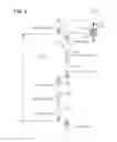Fig. 06 - Gait analysis system and methods