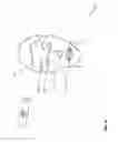 Fig. 10 - Sporadic collection with mobile affect data