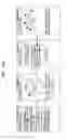 Fig. 19 - METHOD AND APPARATUS FOR HEALTH CARE