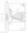 Fig. 15 - Console device of portable type, control method and radiographic imaging system