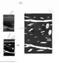 Fig. 08 - System and method for non-invasive determination of human body fat