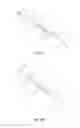 Fig. 04 - Image guided catheters and methods of use