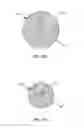 Fig. 08 - Use of expansion-force elements in a compressible cell collection device