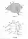 Fig. 19 - Tapered geometry in a compressible cell collection device