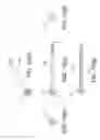 Fig. 16 - Method for forming non-circular cartilage grafts