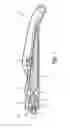 Fig. 02 - Device for chemically assisted dissection