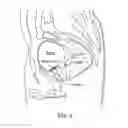Fig. 16 - SYSTEMS AND METHODS FOR PROSTATE TREATMENT