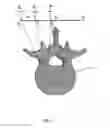 Fig. 05 - PATHOLOGY LOCALIZER AND THERAPEUTICAL PROCEDURE GUIDE SYSTEM