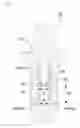 Fig. 08 - DENTAL IMPLANT