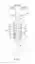 Fig. 07 - Bone implant drill