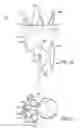 Fig. 24 - Vascular repair devices and methods of use