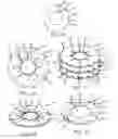 Fig. 11 - Intraocular cell migration inhibition system