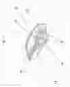 Fig. 02 - Intervertebral implant