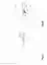 Fig. 09 - Distractible intervertebral implant