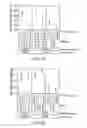 Fig. 08 - Thermal processing of polymer scaffolds