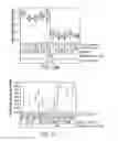 Fig. 12 - Thermal processing of polymer scaffolds