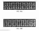 Fig. 20 - Thermal processing of polymer scaffolds