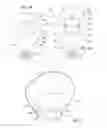 Fig. 04 - Proprioceptive orthosis for supporting a joint