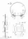 Fig. 07 - Proprioceptive orthosis for supporting a joint
