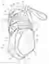 Fig. 01 - ANKLE SUPPORT BRACE (ASB) AND METHOD OF MAKING THE SAME