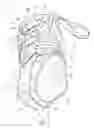 Fig. 02 - ANKLE SUPPORT BRACE (ASB) AND METHOD OF MAKING THE SAME