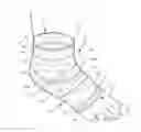 Fig. 01 - Compression foot garment, and therapeutic method for reducing heel pain