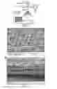 Fig. 02 - Compositions and Methods for the Prevention of Scarring and/or Promotion of Wound Healing