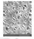 Fig. 14 - Multicomponent oral care composition