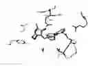 Fig. 14 - COMPOSITIONS AND METHODS FOR HAIR GROWTH