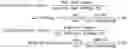 Fig. 02 - Pulsed release phenylephrine dosage forms