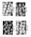 Fig. 11 - Pulsed release phenylephrine dosage forms