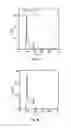 Fig. 05 - PHARMACEUTICAL COMPOSITION CONTAINING LIRIODENDRON TULIPIFERA L. EXTRACT FOR TREATING CHRONIC MYELOGENOUS LEUKEMIA