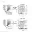 Fig. 07 - Composition Comprising AMD3100 For Preventing or Treating Bone Diseases