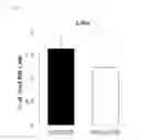 Fig. 08 - Composition Comprising AMD3100 For Preventing or Treating Bone Diseases