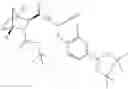Fig. 161 - Methods for treating pulmonary emphysema using substituted 2-Aza-bicyclo[2.2.1]heptane-3-carboxylic acid (benzyl-cyano-methyl)-amides inhibitors of cathepsin C