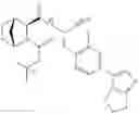 Fig. 186 - Methods for treating pulmonary emphysema using substituted 2-Aza-bicyclo[2.2.1]heptane-3-carboxylic acid (benzyl-cyano-methyl)-amides inhibitors of cathepsin C