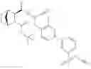Fig. 195 - Methods for treating pulmonary emphysema using substituted 2-Aza-bicyclo[2.2.1]heptane-3-carboxylic acid (benzyl-cyano-methyl)-amides inhibitors of cathepsin C