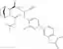 Fig. 359 - Methods for treating pulmonary emphysema using substituted 2-Aza-bicyclo[2.2.1]heptane-3-carboxylic acid (benzyl-cyano-methyl)-amides inhibitors of cathepsin C