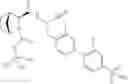 Fig. 83 - Methods for treating pulmonary emphysema using substituted 2-Aza-bicyclo[2.2.1]heptane-3-carboxylic acid (benzyl-cyano-methyl)-amides inhibitors of cathepsin C