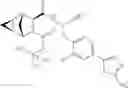 Fig. 85 - Methods for treating pulmonary emphysema using substituted 2-Aza-bicyclo[2.2.1]heptane-3-carboxylic acid (benzyl-cyano-methyl)-amides inhibitors of cathepsin C