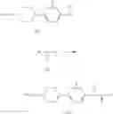 Fig. 16 - PIPERIDINE/PIPERAZINE DERIVATIVES