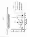 Fig. 02 - Immunoconjugates with an intracellularly-cleavable linkage