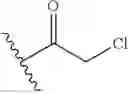 Fig. 348 - ERK inhibitors and uses thereof