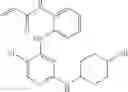 Fig. 558 - ERK inhibitors and uses thereof