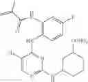 Fig. 563 - ERK inhibitors and uses thereof