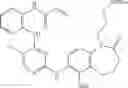 Fig. 596 - ERK inhibitors and uses thereof